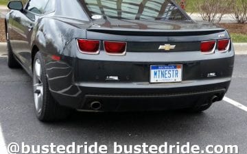 MTNESTER - Vanity License Plate by Busted Ride