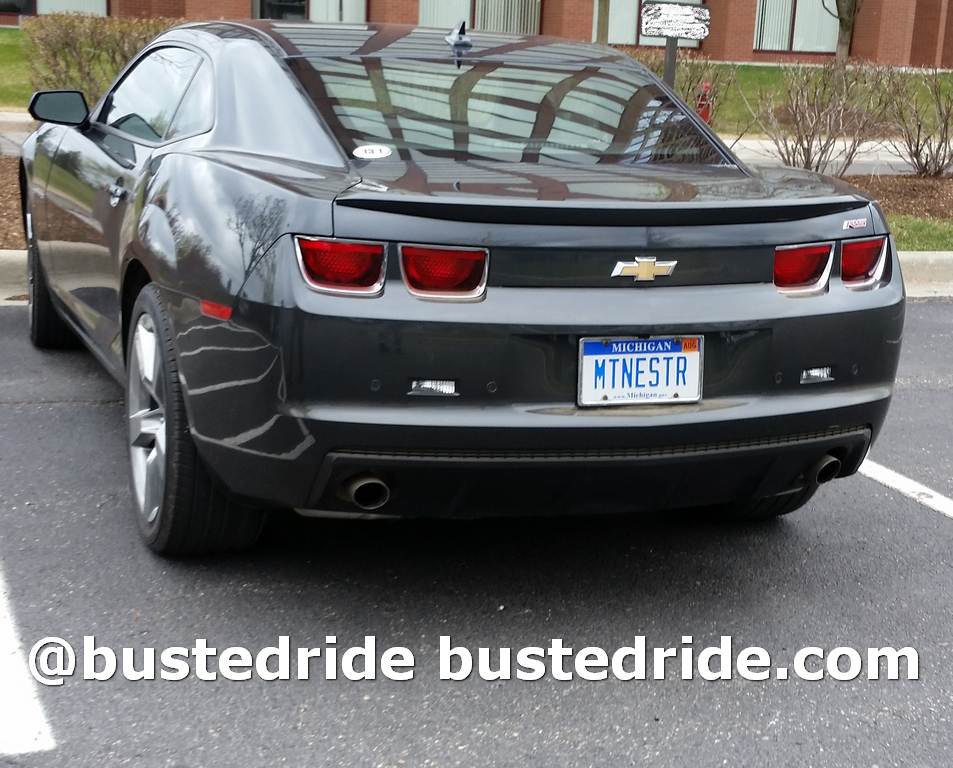 MTNESTER - Vanity License Plate by Busted Ride