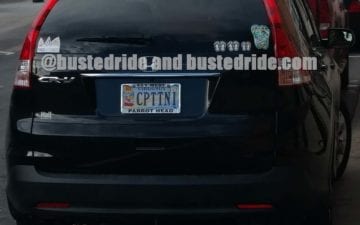 CPTTNI - Vanity License Plate by Busted Ride