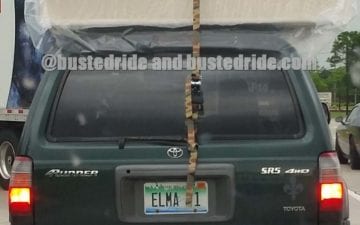 ELMA 1 - Vanity License Plate by Busted Ride