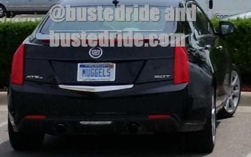 MUGGLES - Vanity License Plate by Busted Ride