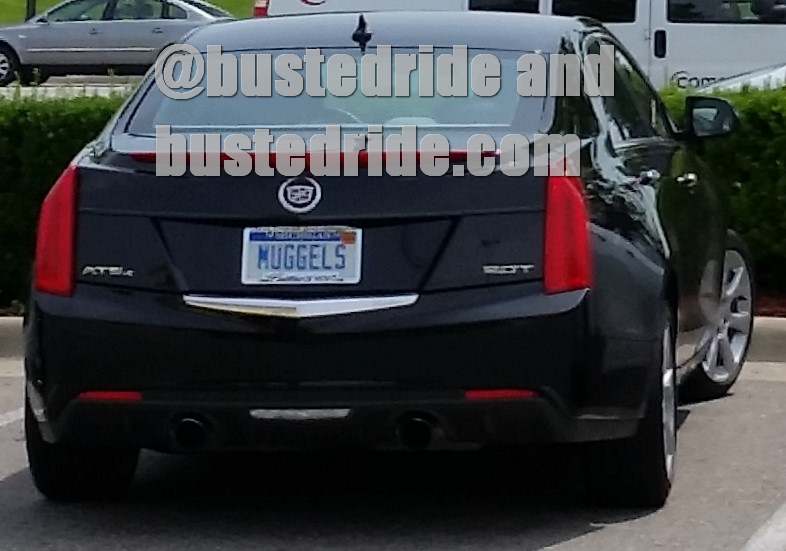 MUGGLES - Vanity License Plate by Busted Ride