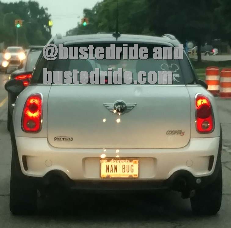 NAN BUG - Vanity License Plate by Busted Ride