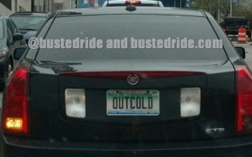 OUTCOLD - Vanity License Plate by Busted Ride