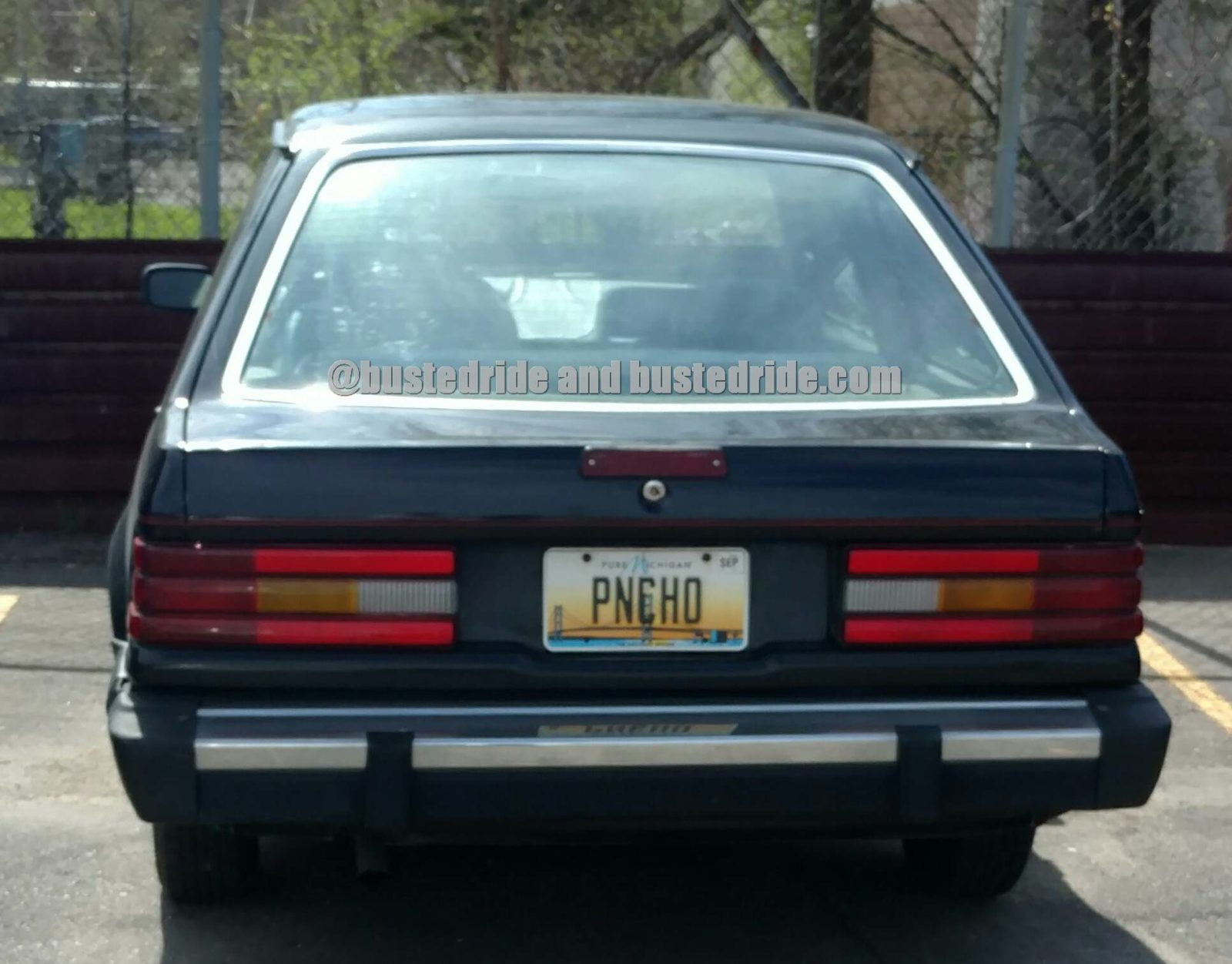 PNCHO - Vanity License Plate by Busted Ride