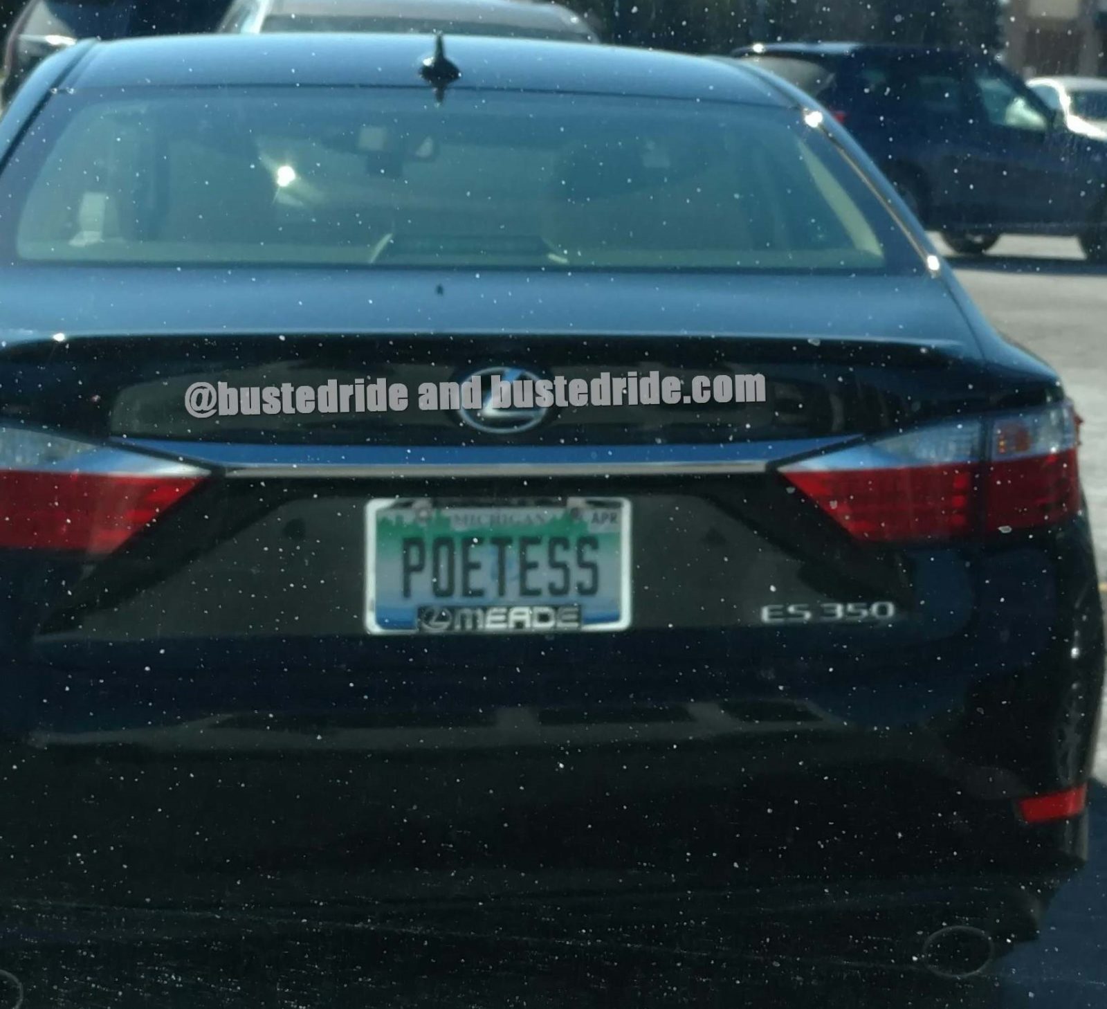 POETESS - Vanity License Plate by Busted Ride