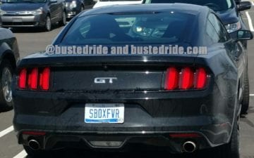 SBOXFVR - Vanity License Plate by Busted Ride