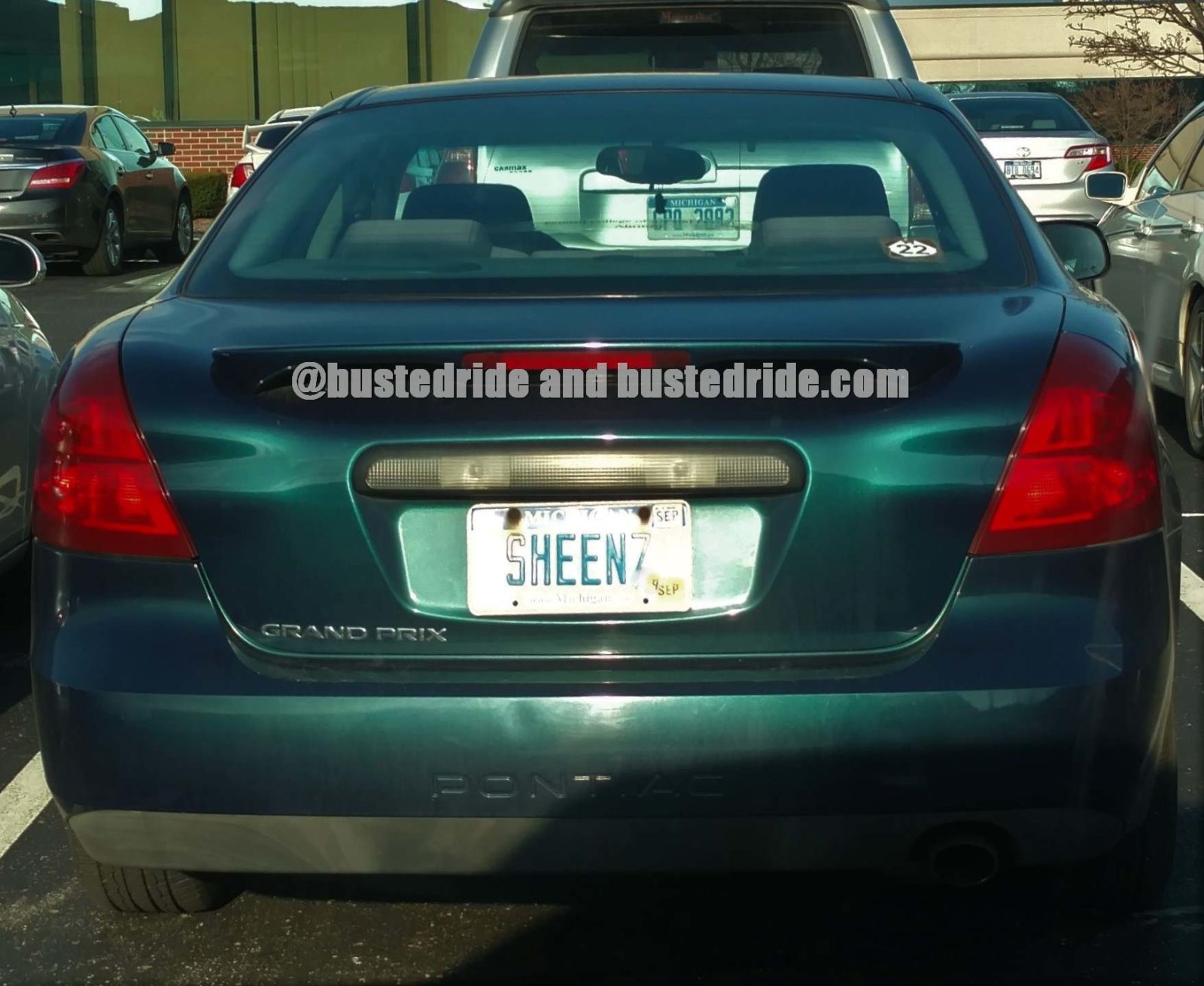 SHEENZ - Vanity License Plate by Busted Ride