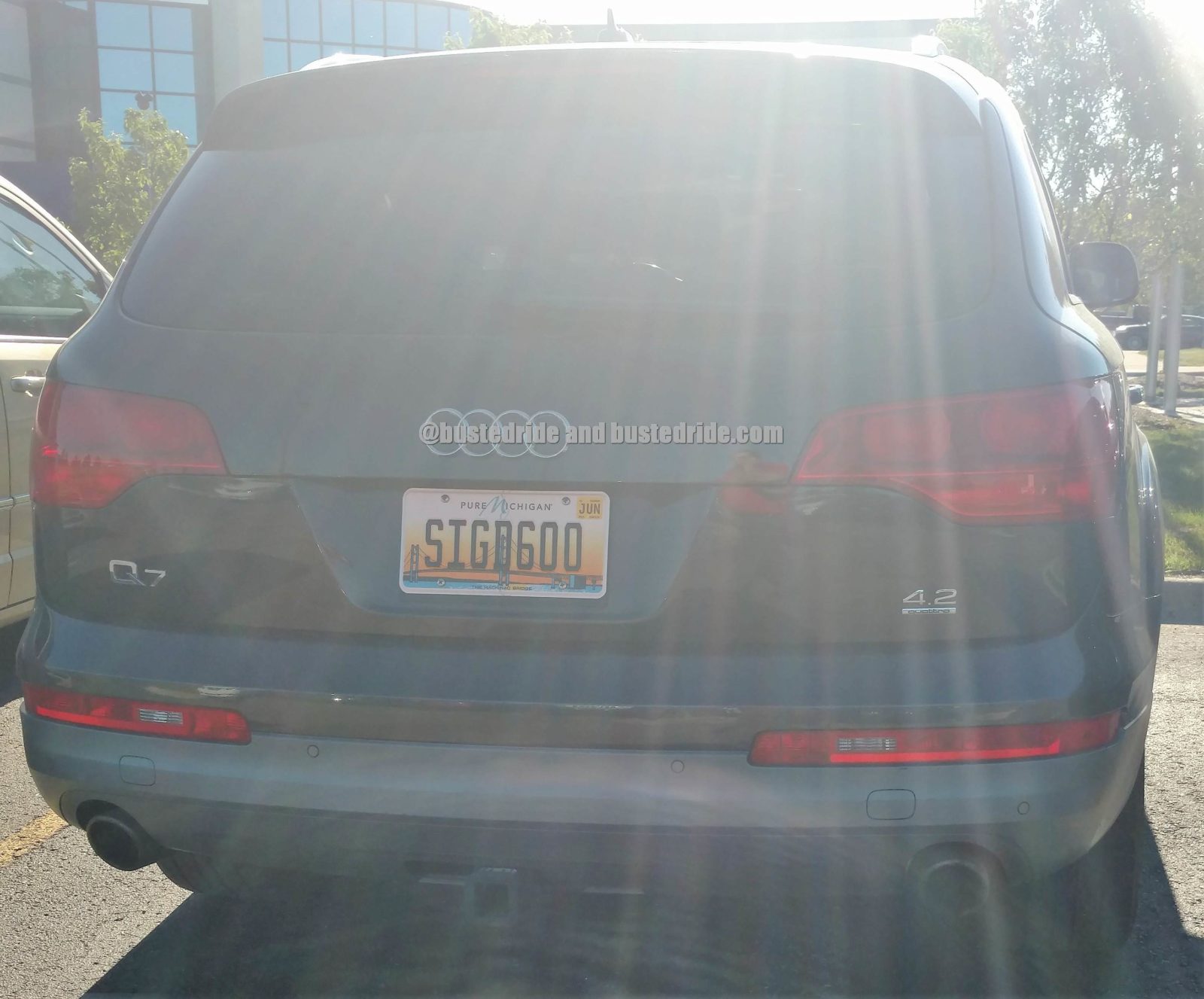 SIGD600 - Vanity License Plate by Busted Ride