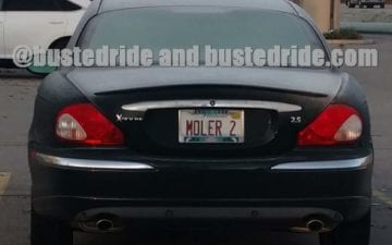 MOLER 2 - Vanity License Plate by Busted Ride