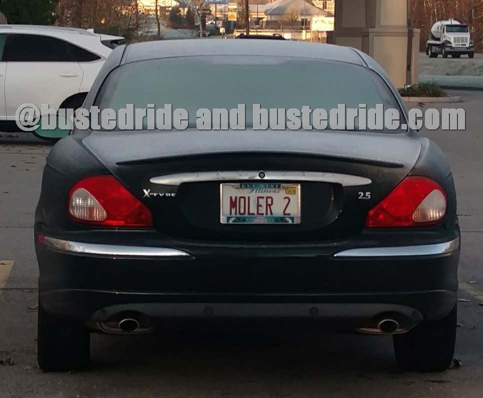 MOLER 2 - Vanity License Plate by Busted Ride