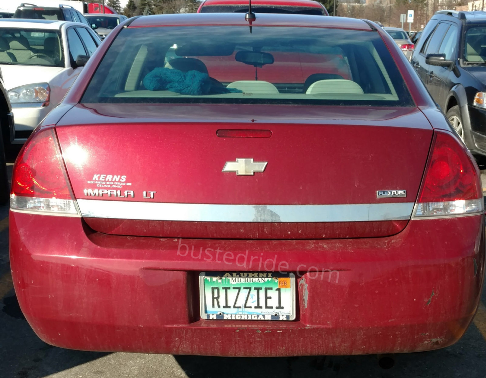 RIZZIE1 - Vanity License Plate by Busted Ride