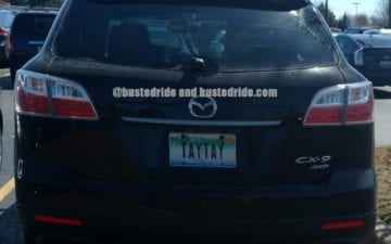 TAYTAY - Vanity License Plate by Busted Ride