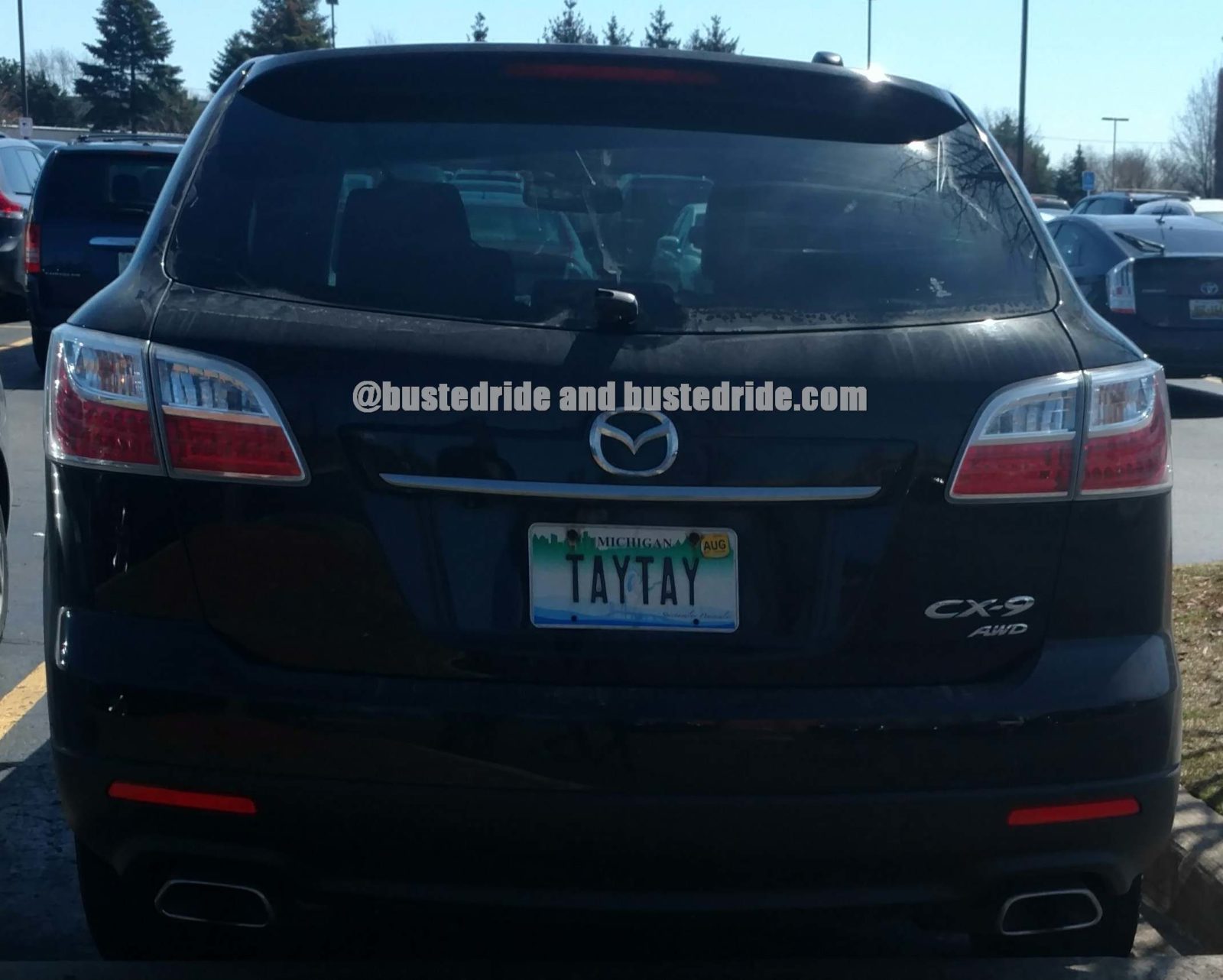 TAYTAY - Vanity License Plate by Busted Ride