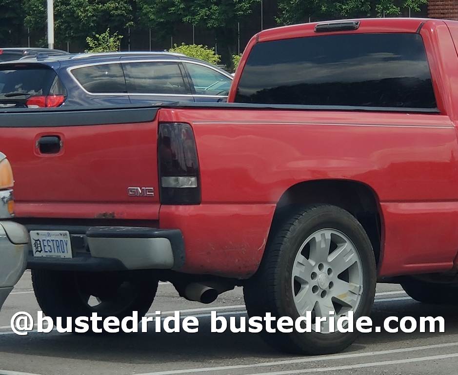 DESTROY - Vanity License Plate by Busted Ride