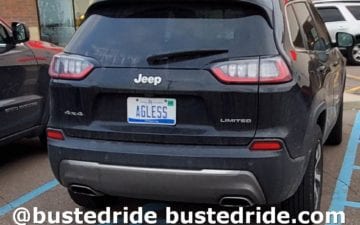 AGLESS - Vanity License Plate by Busted Ride