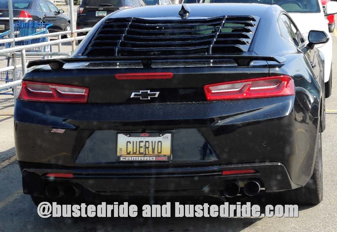 CUERVO – Happy Cinco de Mayo! - Vanity License Plate by Busted Ride