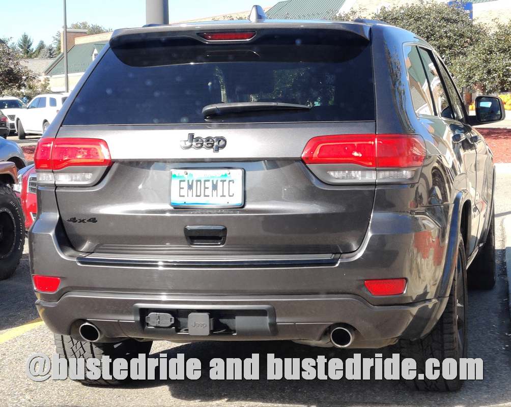 EMDEMIC - Vanity License Plate by Busted Ride