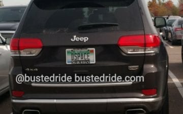 DSPACE - Vanity License Plate by Busted Ride