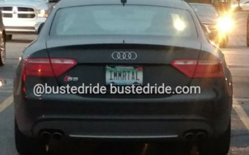 IMMRTLE - Vanity License Plate by Busted Ride