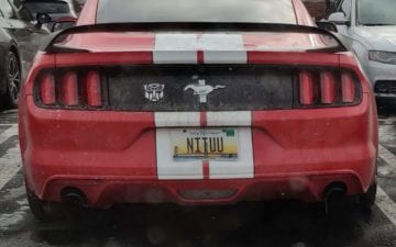 NITUU - Vanity License Plate by Busted Ride