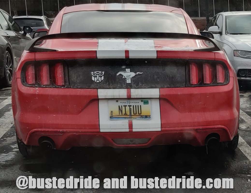 NITUU - Vanity License Plate by Busted Ride