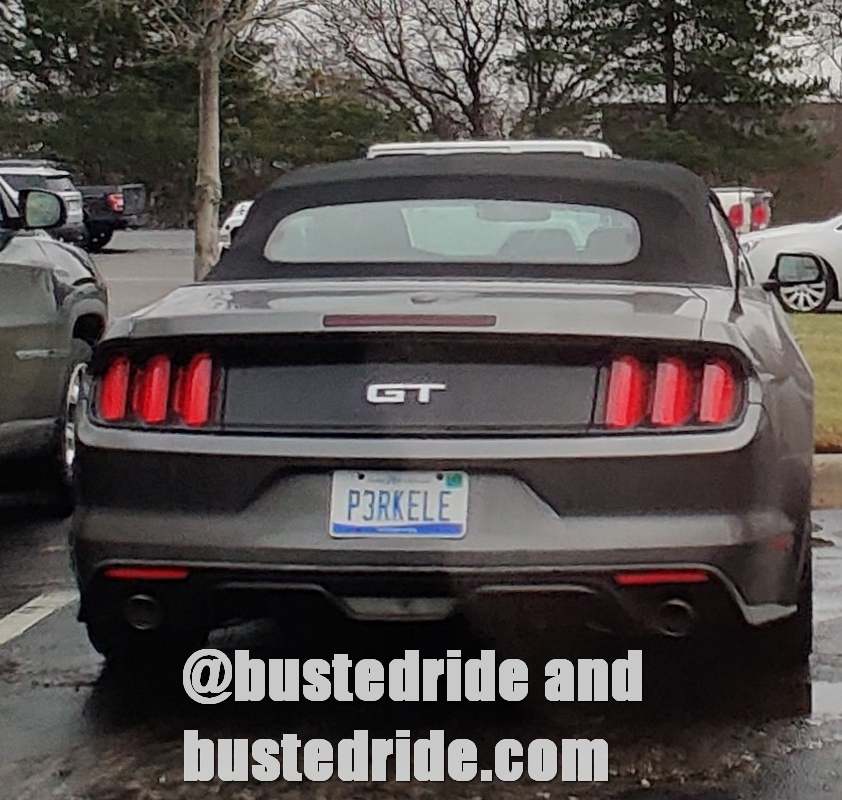 P3RKELE - Vanity License Plate by Busted Ride