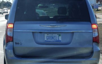 GR8NILE - Vanity License Plate by Busted Ride