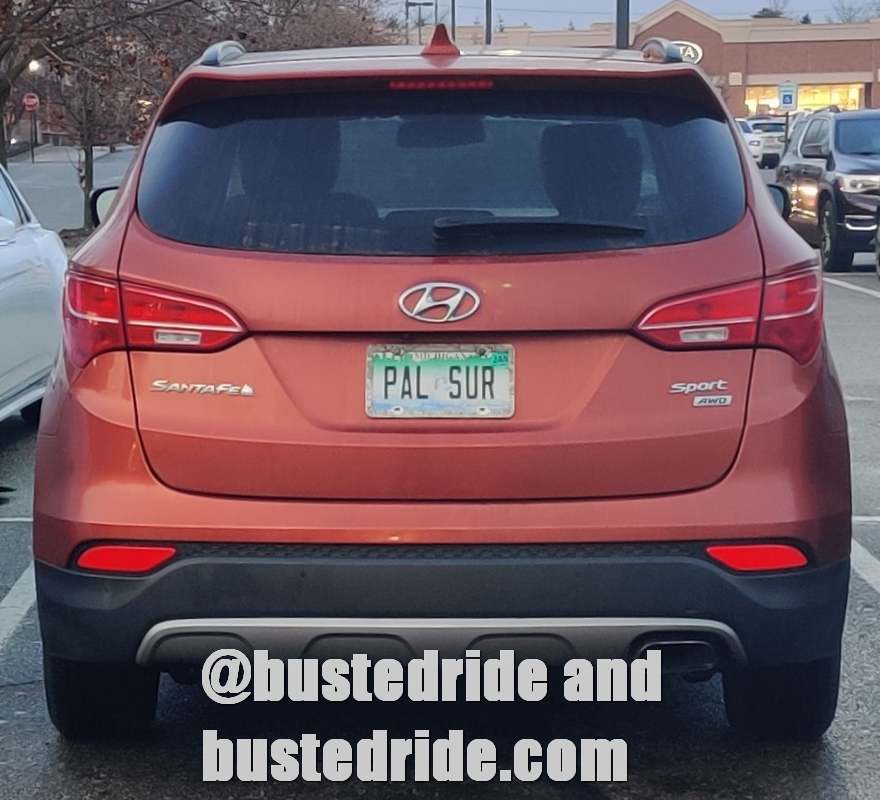 PAL SUR - Vanity License Plate by Busted Ride
