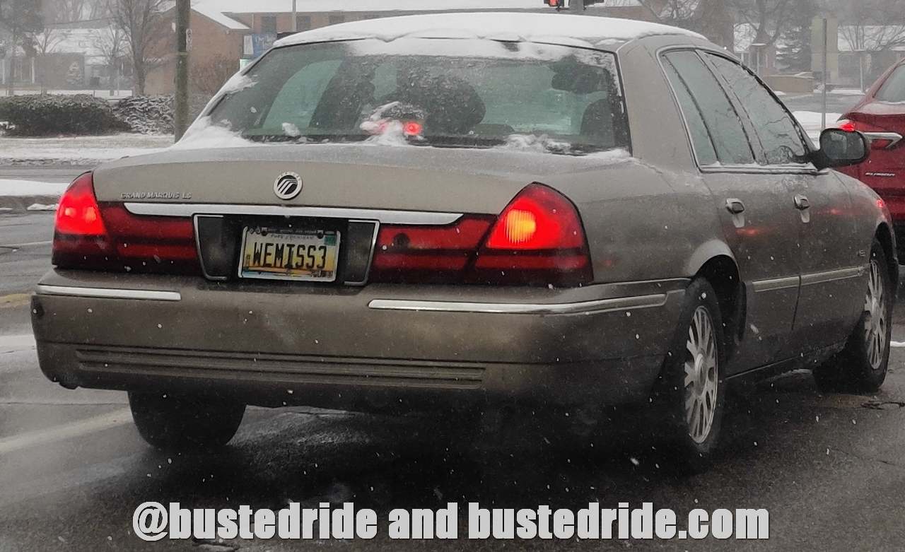 WEMISS3 - Vanity License Plate by Busted Ride