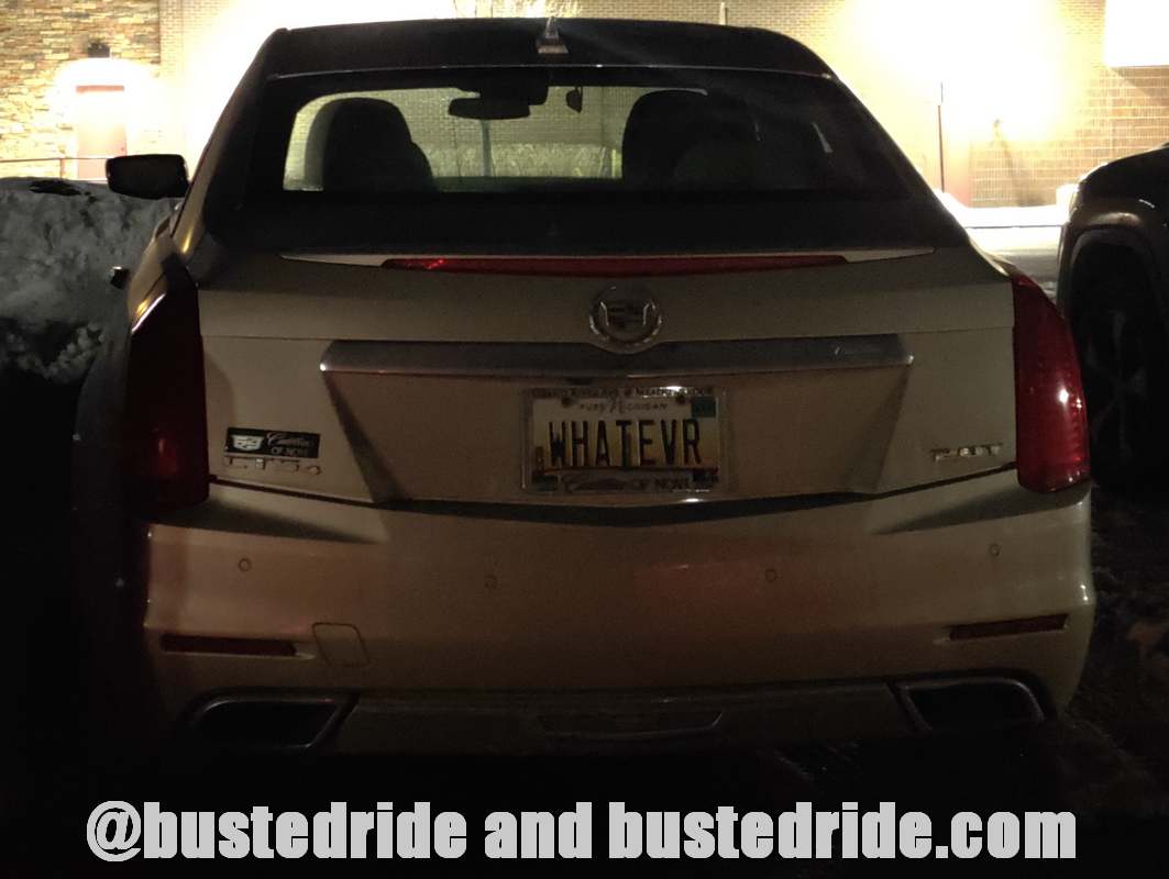 WHATEVR - Vanity License Plate by Busted Ride