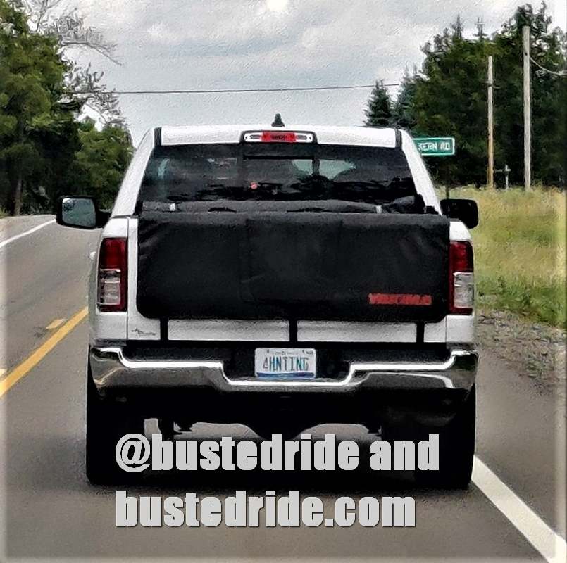 4HNTING - Vanity License Plate by Busted Ride