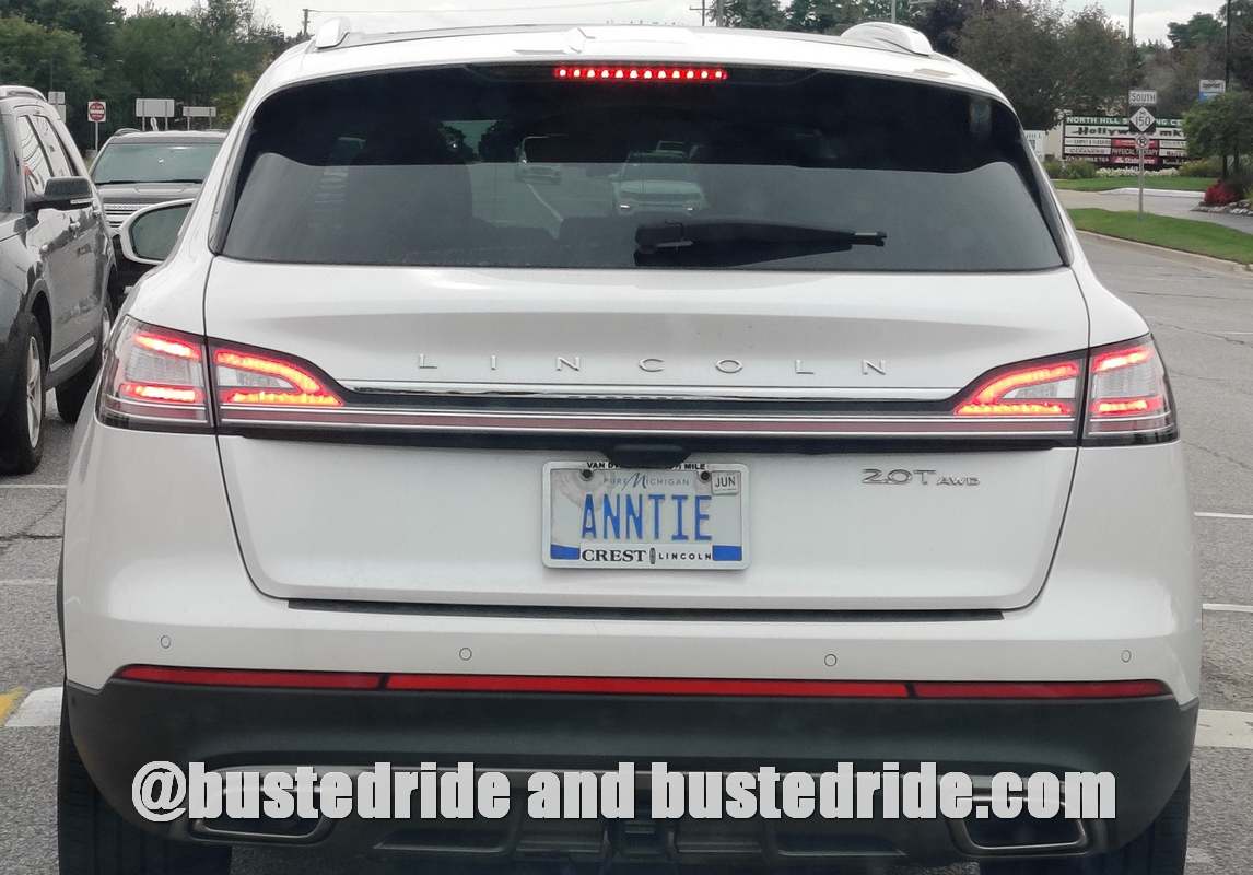 ANNTIE - Vanity License Plate by Busted Ride