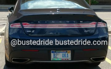 BZ AKA - Vanity License Plate by Busted Ride