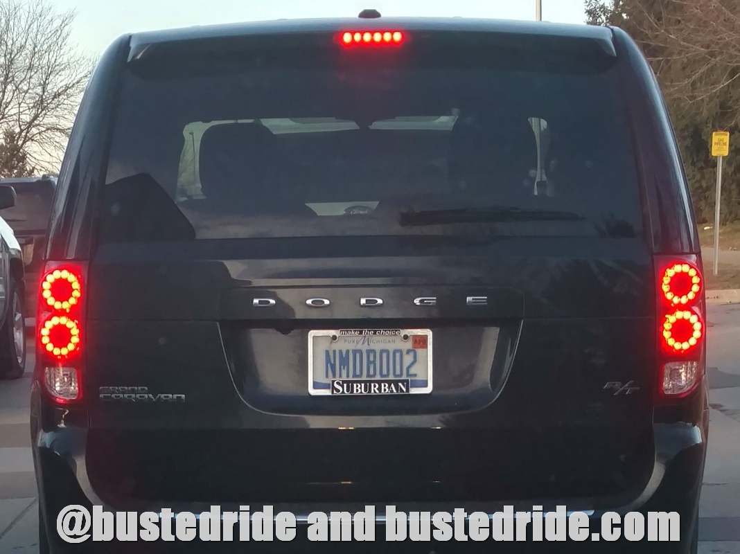 NMDB002 - Vanity License Plate by Busted Ride