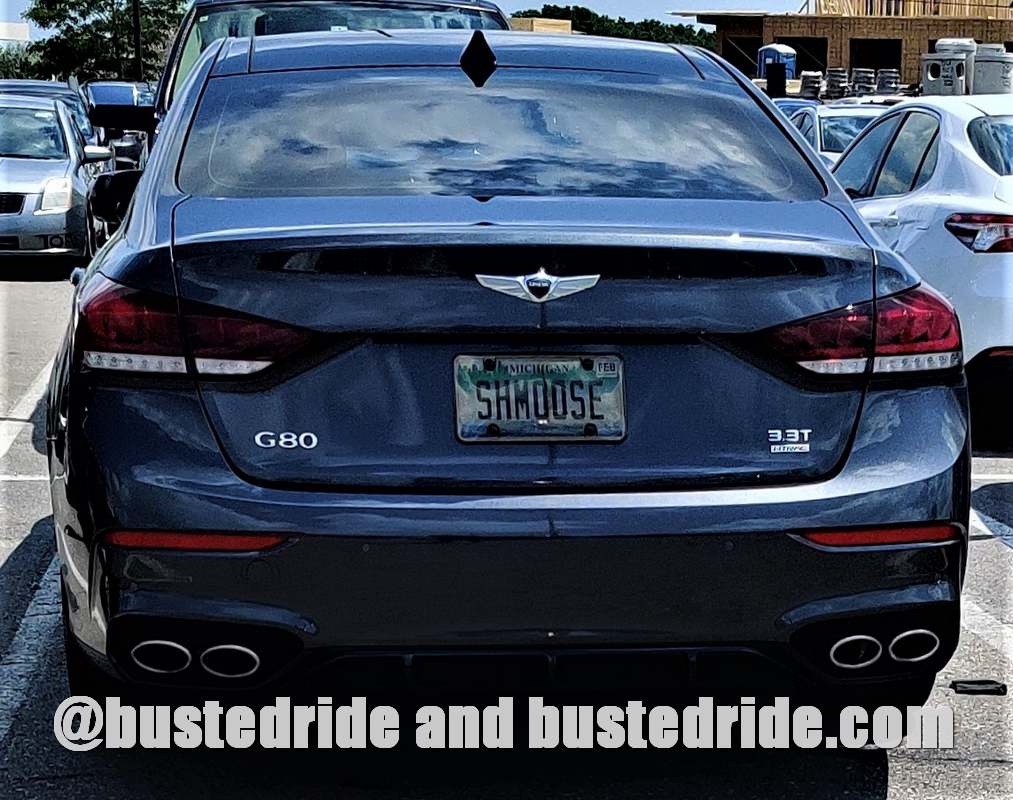SHMOOSE - Vanity License Plate by Busted Ride