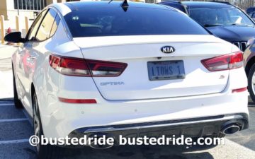LIONS 1 - Vanity License Plate by Busted Ride