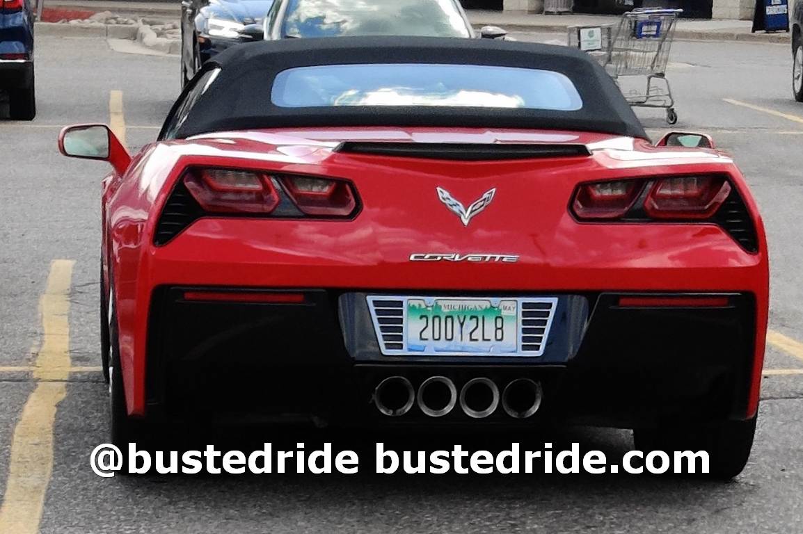 200Y2L8 - Vanity License Plate by Busted Ride