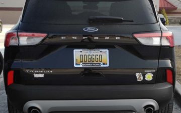 DOGGO - Vanity License Plate by Busted Ride