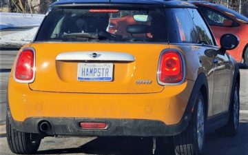 HAMPSTR - Vanity License Plate by Busted Ride