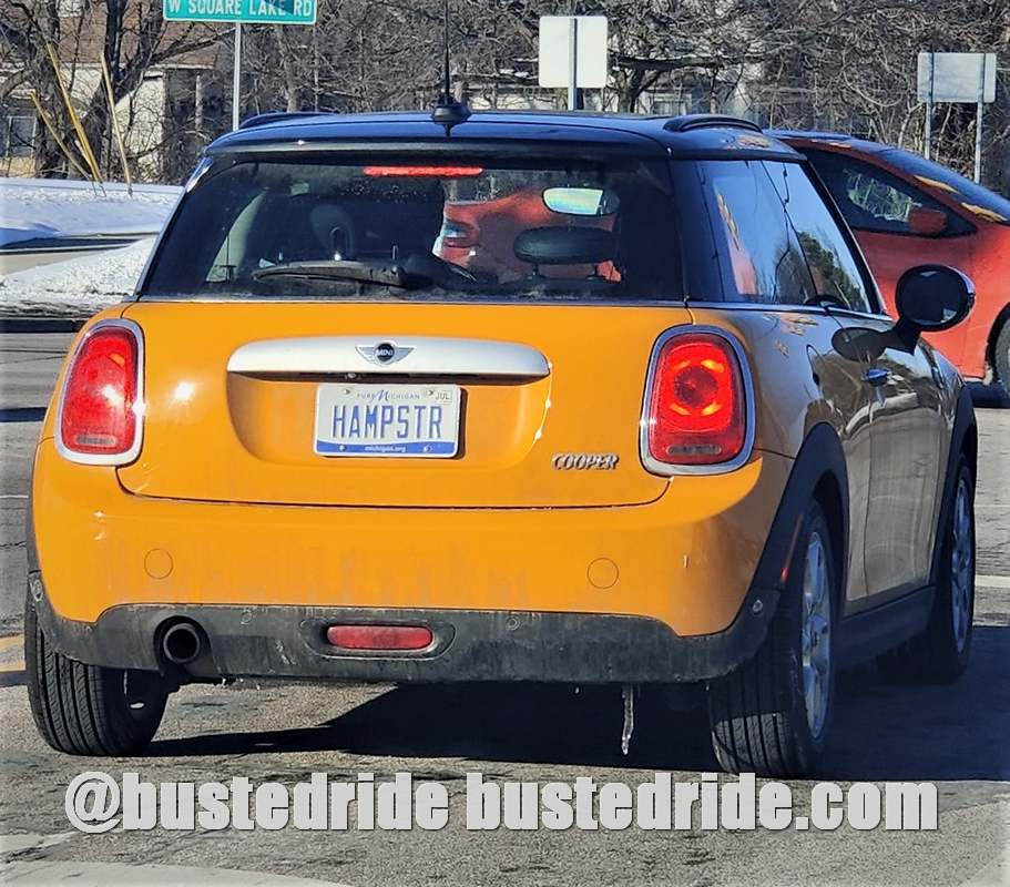 HAMPSTR - Vanity License Plate by Busted Ride