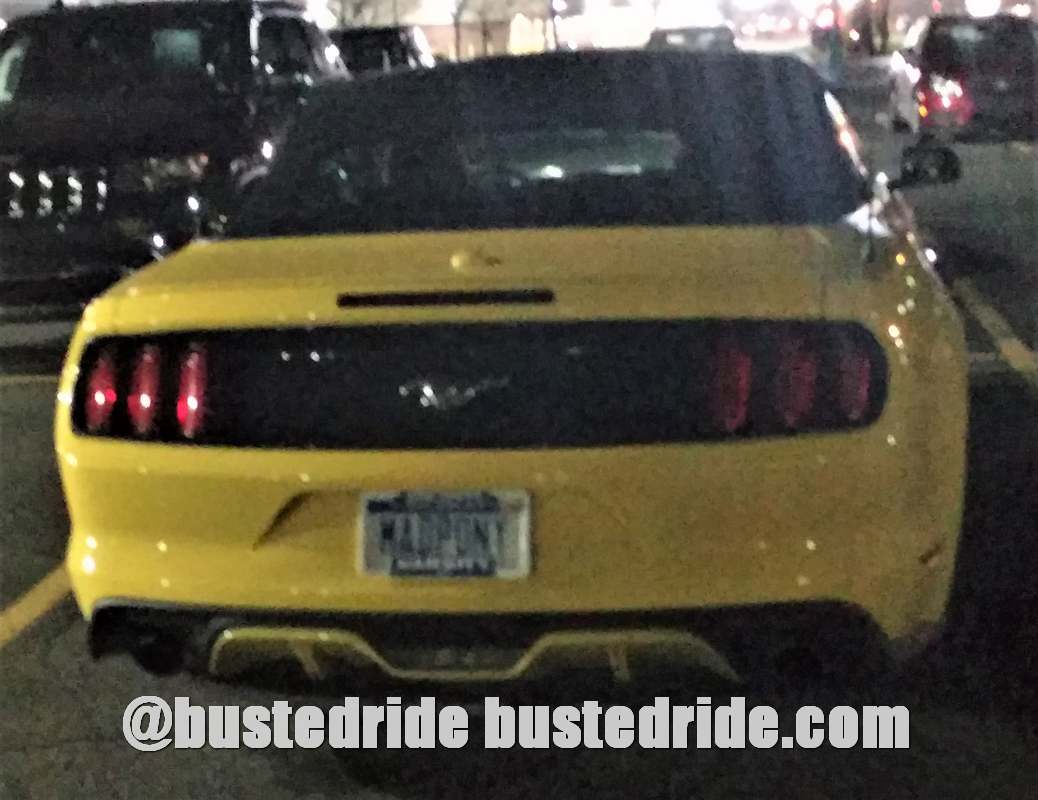 MADPONY - Vanity License Plate by Busted Ride