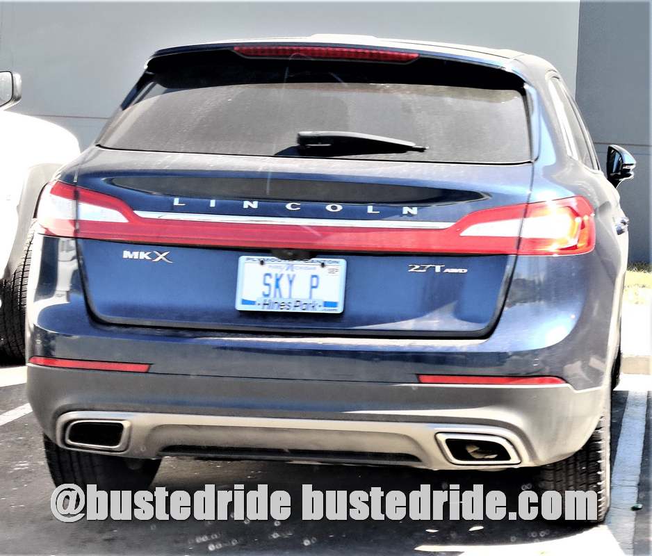 SKY P - Vanity License Plate by Busted Ride