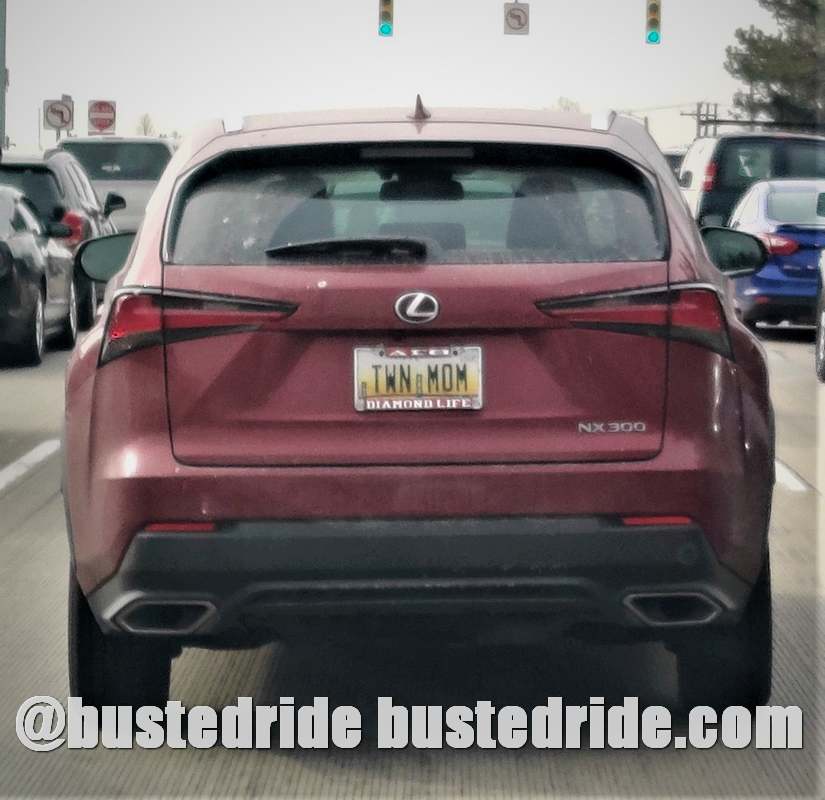TWN MOM - Vanity License Plate by Busted Ride