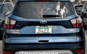 DIZZYD - Vanity License Plate by Busted Ride