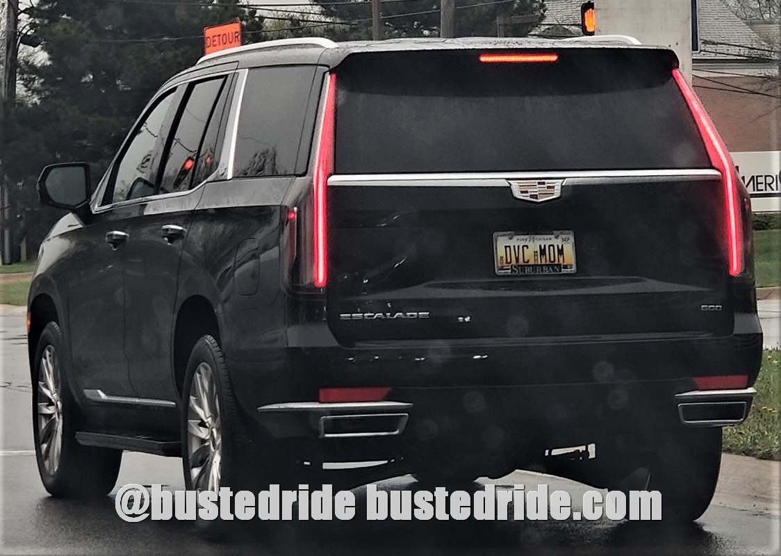 DVC MOM - Vanity License Plate by Busted Ride
