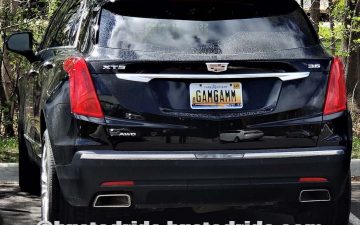 GAMGAM - Vanity License Plate by Busted Ride