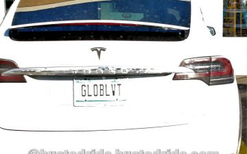 GLOBLVT - Vanity License Plate by Busted Ride