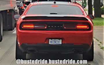 HECKCAT - Vanity License Plate by Busted Ride