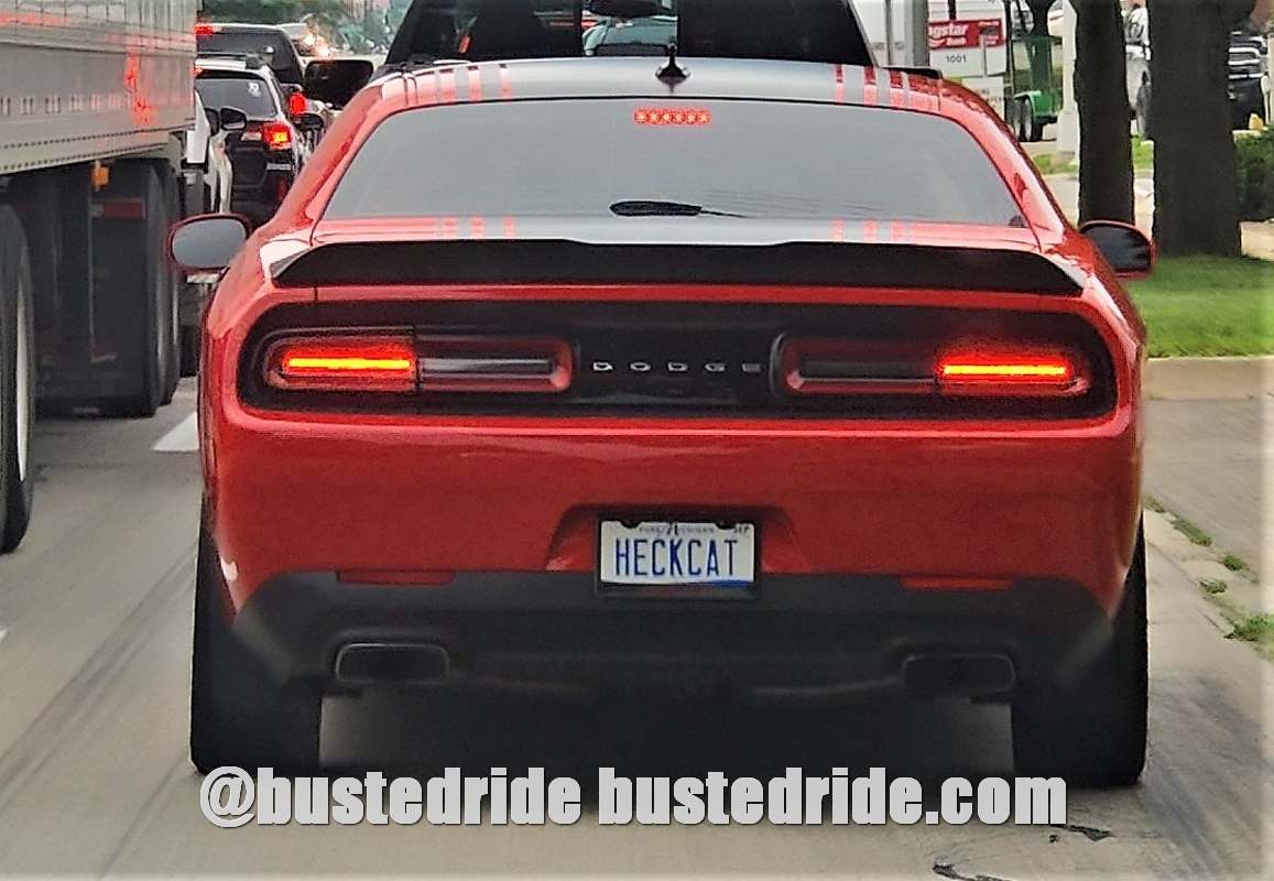 HECKCAT - Vanity License Plate by Busted Ride